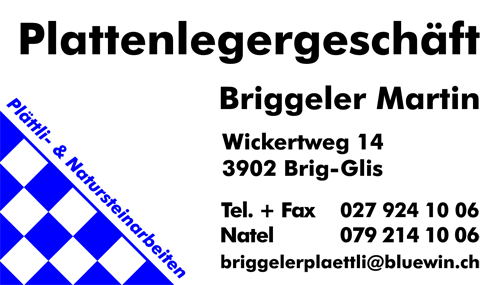 Logo Plattenlegergeschäft Briggeler Martin